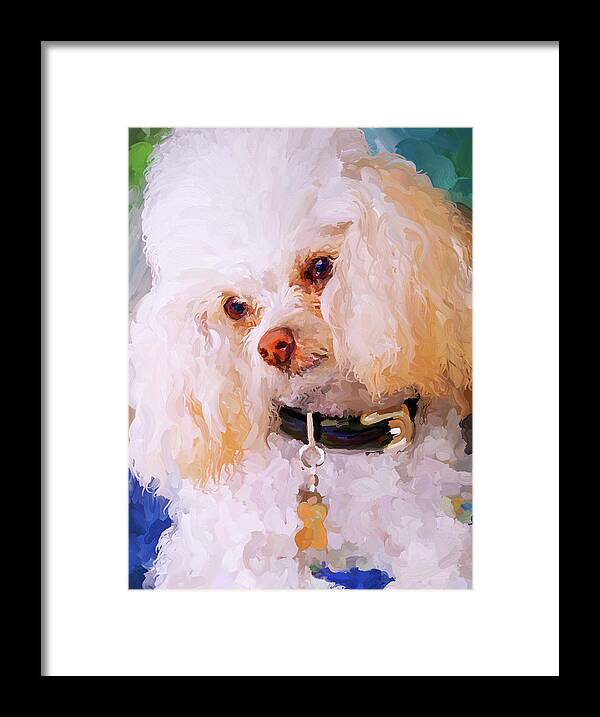 White Framed Print featuring the painting White Poodle by Jai Johnson