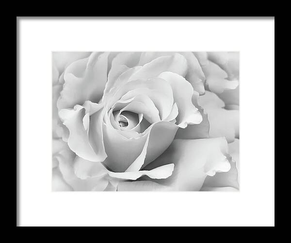 Rose Framed Print featuring the photograph White Rose Ruffles Monochrome by Jennie Marie Schell