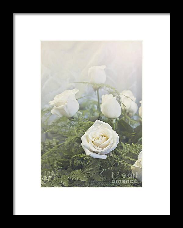  Framed Print featuring the photograph White roses by Cindy Garber Iverson