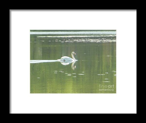 White Mute Framed Print featuring the photograph White Swan Silhouette by Rockin Docks Deluxephotos