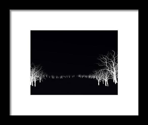 Victor Shelley Framed Print featuring the digital art White Tree by Victor Shelley