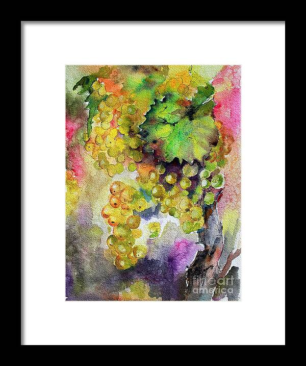 Grapes Framed Print featuring the painting White Wine Grapes Vineyard Watercolor Painting by Ginette Callaway