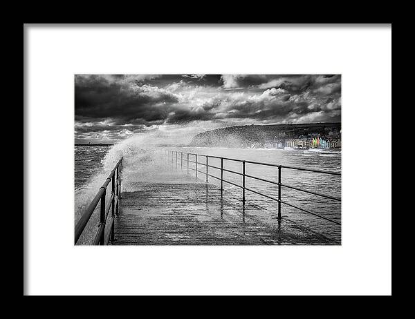 Whitehead Framed Print featuring the photograph Whitehead with a splash of colour by Nigel R Bell