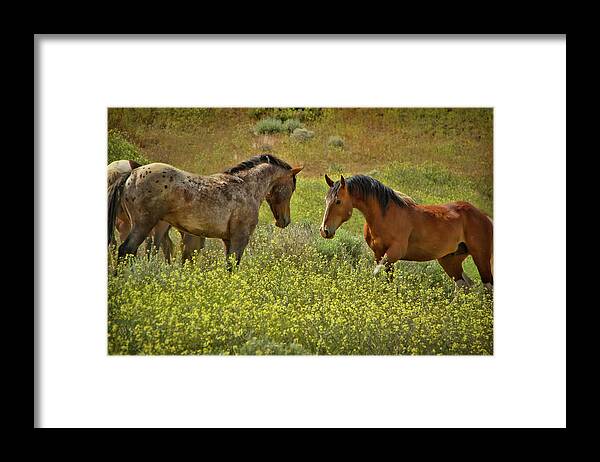 Horse Framed Print featuring the photograph Who gets to be boss by Waterdancer