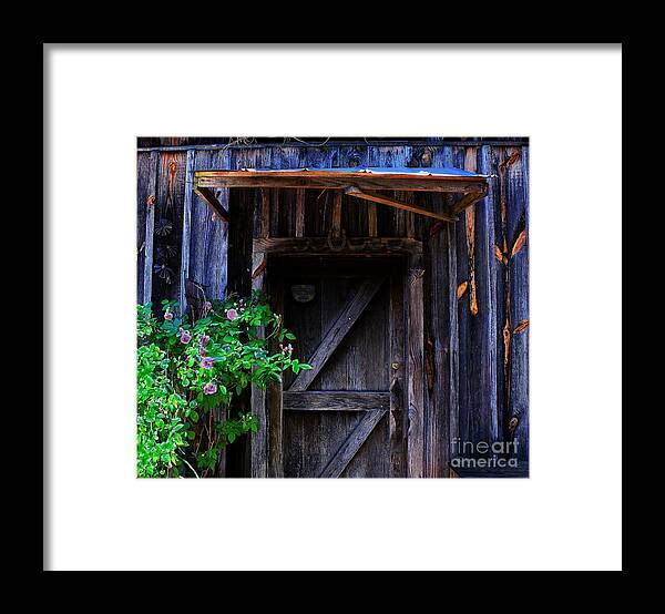 Door Framed Print featuring the photograph Who Is Living Here by Barbara Teller