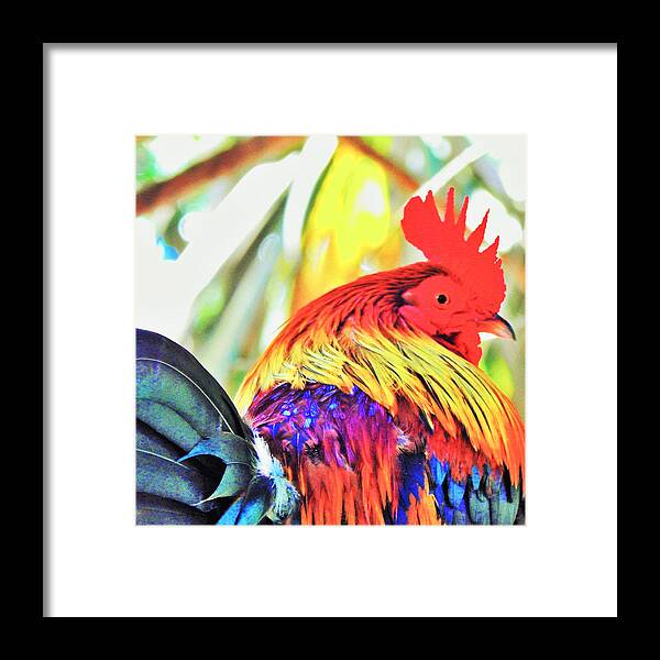 Rooster Framed Print featuring the digital art Wild and Free by Jan Gelders