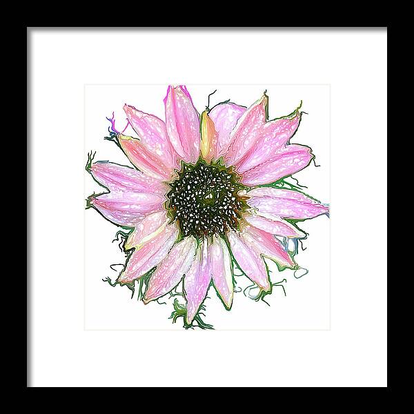  Framed Print featuring the photograph Wild Flower Four by Heidi Smith