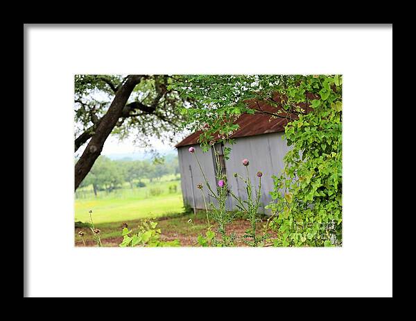  Framed Print featuring the photograph Wild Flowers And Tin by Jeff Downs