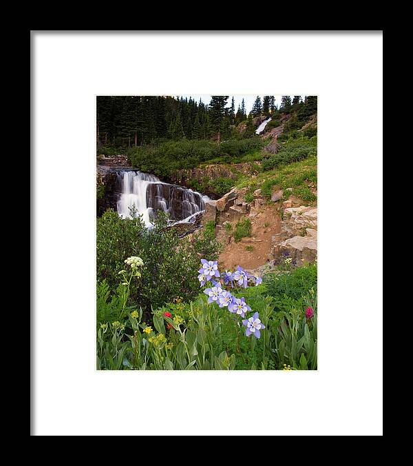 Colorado Framed Print featuring the photograph Wild Flowers and Waterfalls by Steve Stuller