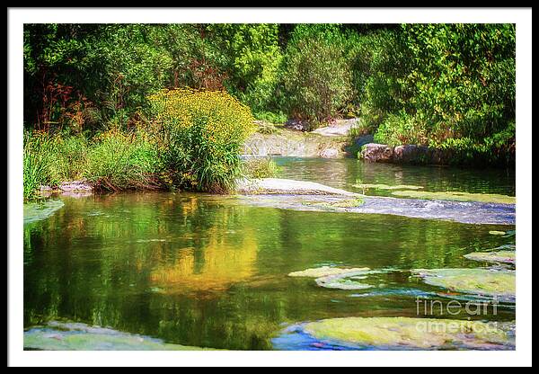 Oklahoma Framed Print featuring the photograph Wild Flowers on Blue River by Tamyra Ayles