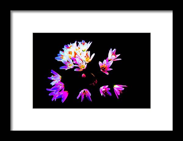 Flowers Framed Print featuring the photograph Wild Garlic by Richard Patmore