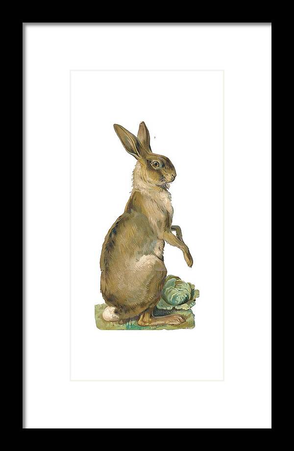 Rabbit Framed Print featuring the digital art Wild Hare by Kim Kent