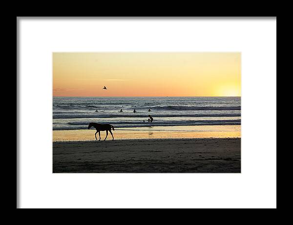  Framed Print featuring the photograph Wild Horses Costa Rica by Taylynn Hunt