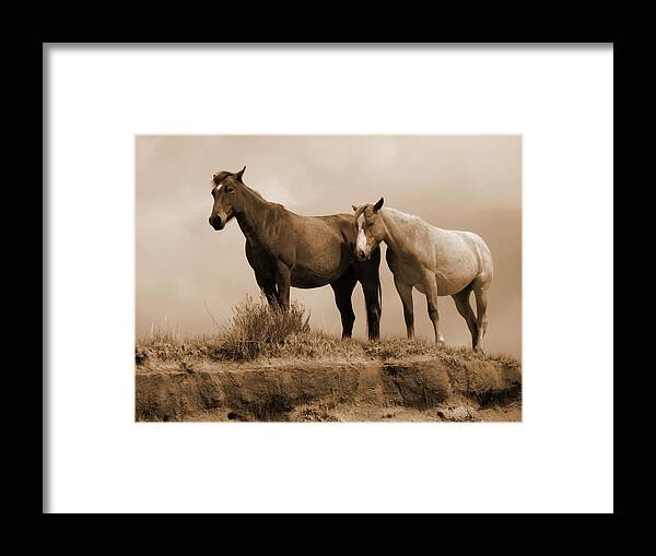 Horses Framed Print featuring the photograph Wild Horses in Western Dakota by Cris Fulton