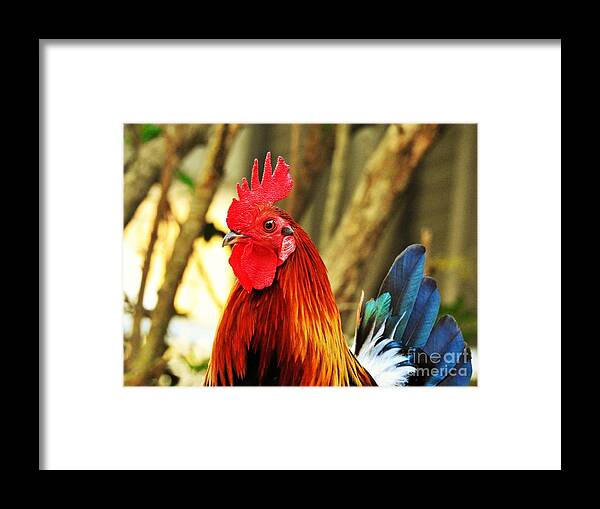 Wild Framed Print featuring the photograph Wild Repose by Jan Gelders