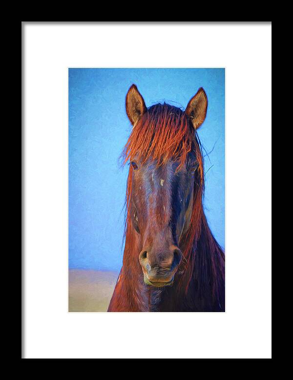 Stallion Framed Print featuring the photograph Wild Stallion Portrait by Greg Norrell