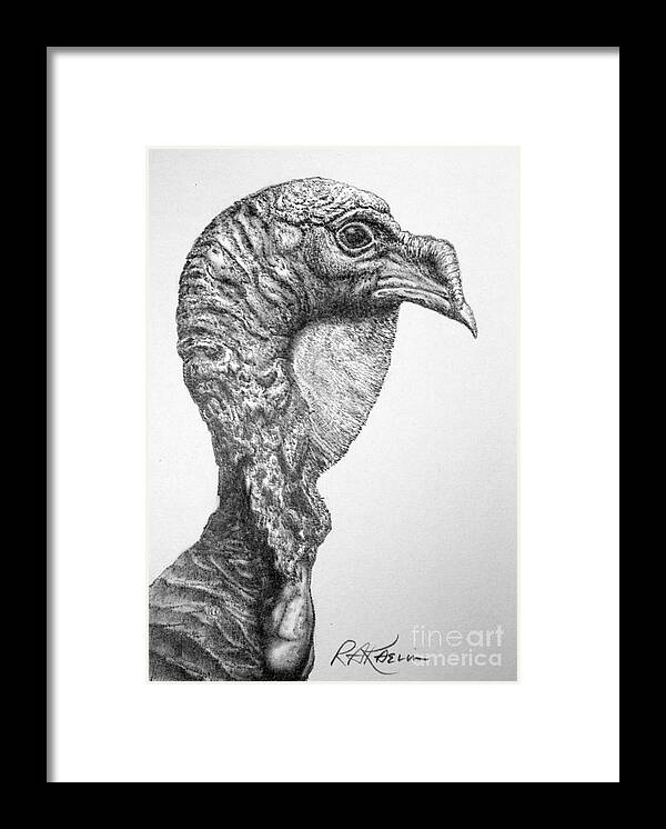 Turkey Framed Print featuring the drawing Wild Turkey by Roy Anthony Kaelin