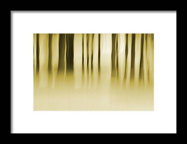 Woods Framed Print featuring the photograph Wildermist Morning by Jeff Mize
