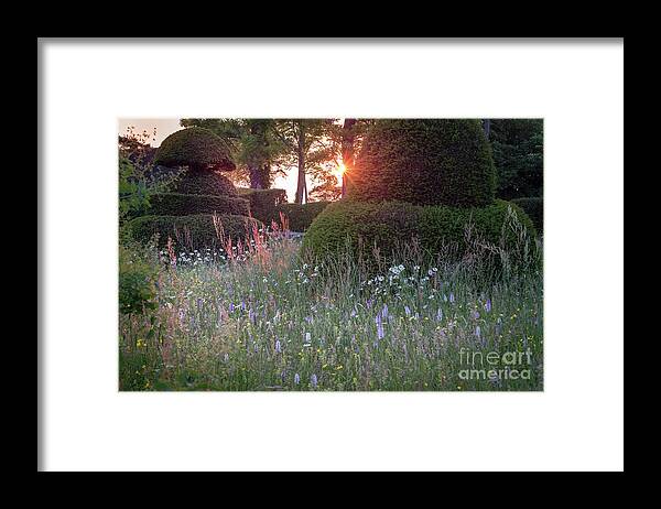 Sunset Framed Print featuring the photograph Wildflower Meadow at Sunset, Great Dixter by Perry Rodriguez