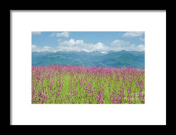 Farm Framed Print featuring the photograph Wildflower Meadows and the Carpathian Mountains, Romania by Perry Rodriguez