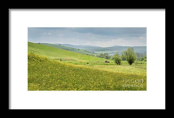 Farm Framed Print featuring the photograph Wildflower Meadows, Transylvania by Perry Rodriguez