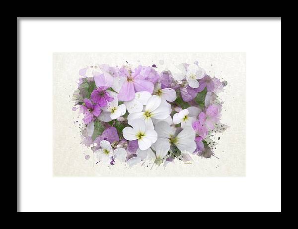 Wildflower Framed Print featuring the mixed media Watercolor Wildflowers by Christina Rollo