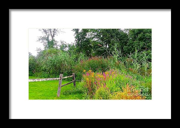 Wildflowers Framed Print featuring the photograph Wildflowers and Fence in Bridgewater by Dani McEvoy