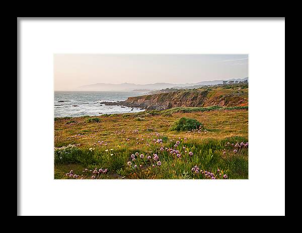 Fiscalini Ranch Preserve Framed Print featuring the photograph Wildflowers and Fog on the Fiscalini Preserve by Lynn Bauer