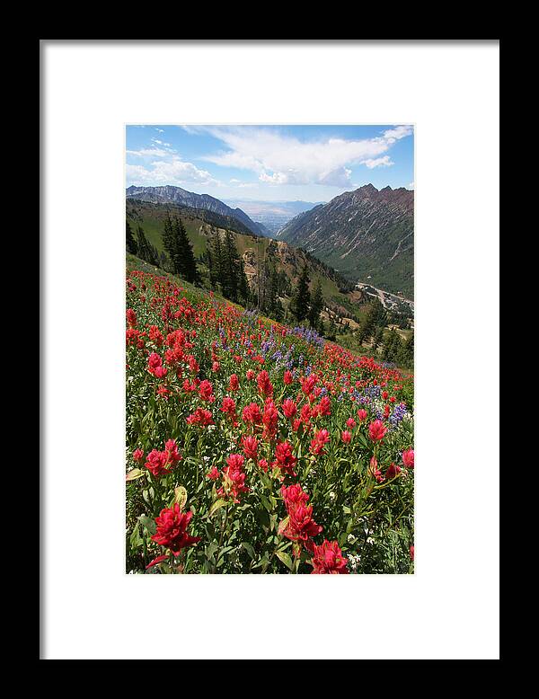 Landscape Framed Print featuring the photograph Wildflowers and View Down Canyon by Brett Pelletier