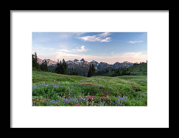 Alpine Framed Print featuring the photograph Wildflowers at Paradise by Michael Russell