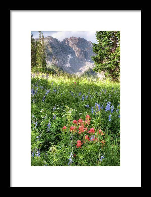 Meadows Framed Print featuring the photograph Wildflowers in Albion Basin Utah by Douglas Pulsipher