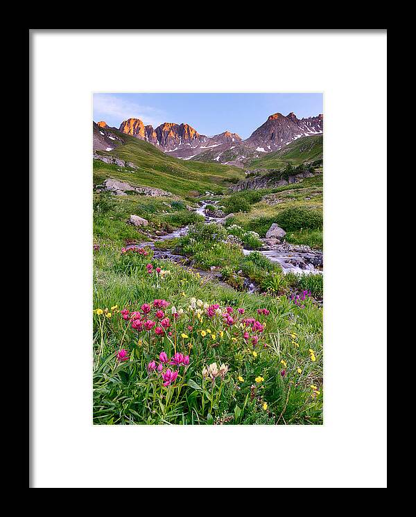 Wildflowers Framed Print featuring the photograph Wildflowers in American Basin by David Soldano