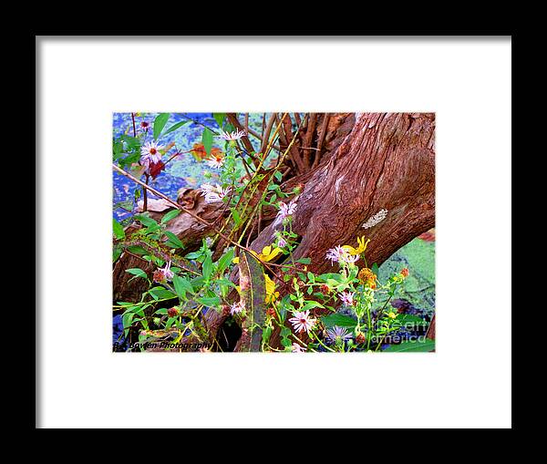 Wildflowers Framed Print featuring the photograph Wildflowers on a Cypress Knee by Barbara Bowen