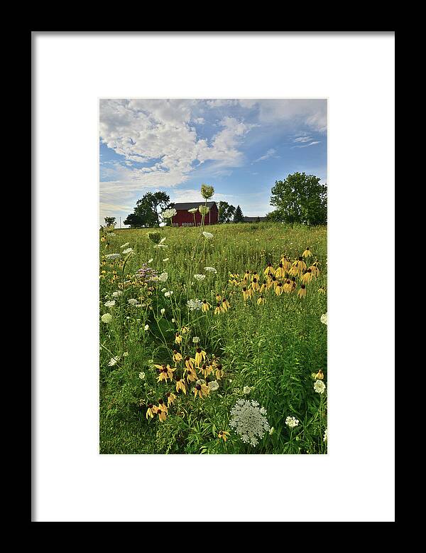 Mchenry County Conservation District Framed Print featuring the photograph Wildflowers on Midwest Farm by Ray Mathis