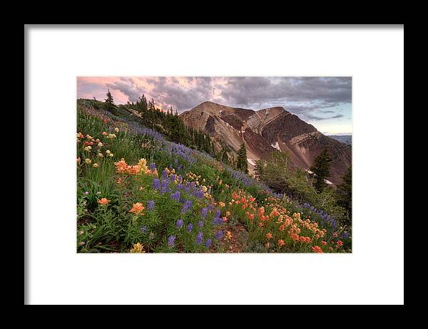 Landscape Framed Print featuring the photograph Wildflowers with Twin Peaks at Sunset by Brett Pelletier