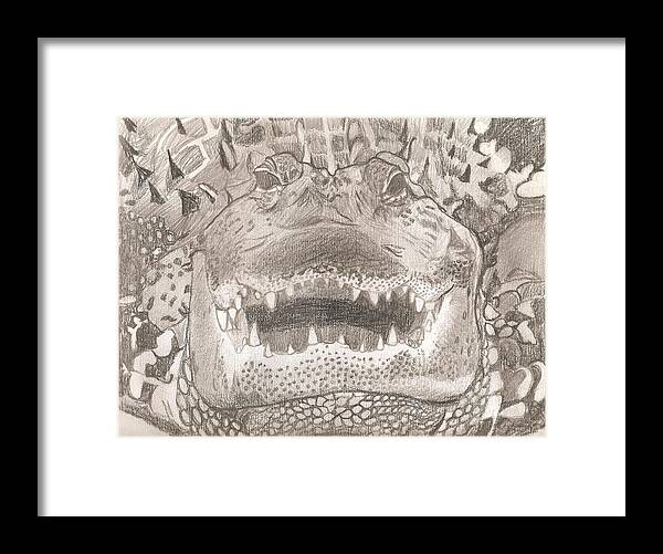 Alligator Framed Print featuring the drawing Wildlife Portrait Original Sketch by Pigatopia by Shannon Ivins