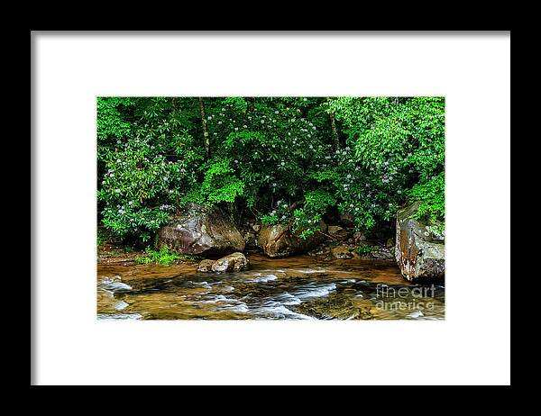Williams River Framed Print featuring the photograph Williams River and Rhododdendron by Thomas R Fletcher