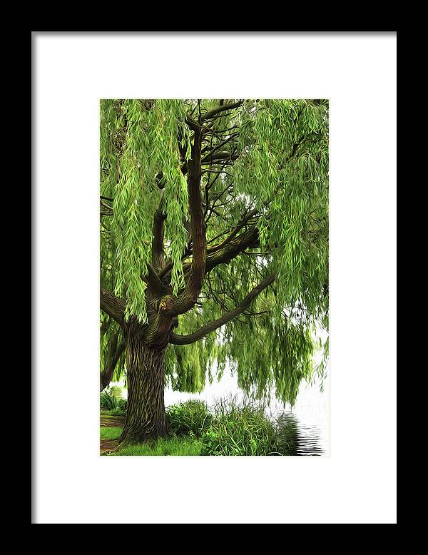 Willow Framed Print featuring the photograph Willow by Mark Rogan
