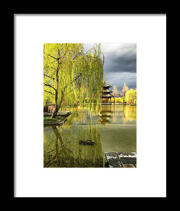 Linda Brody Framed Print featuring the photograph Willow Tree In Liiang China II by Linda Brody