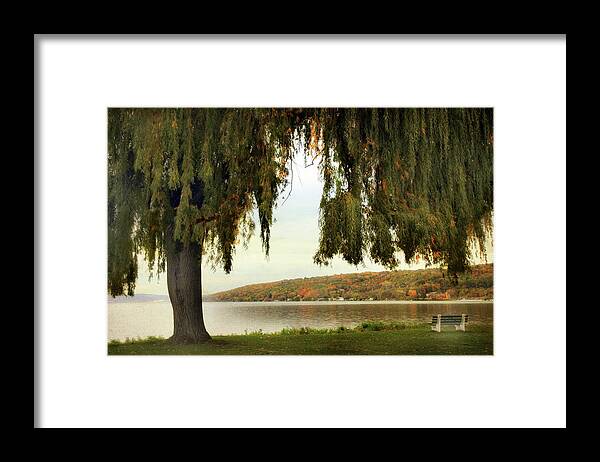 Nature Framed Print featuring the photograph Willows of Stewart Park by Jessica Jenney