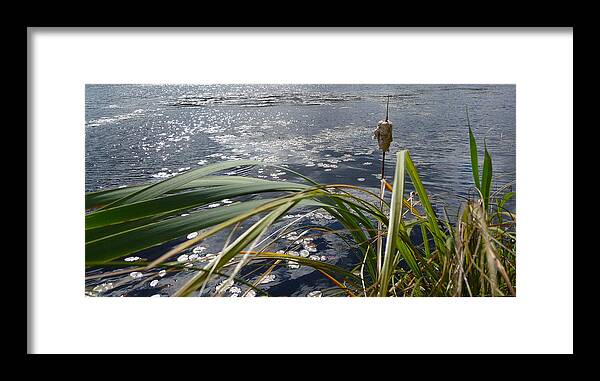 Nature Framed Print featuring the photograph Wind and Water by Ruth Kamenev