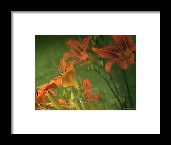 Rain Framed Print featuring the photograph Wind Blown and Rain Spattered by Rebecca Samler