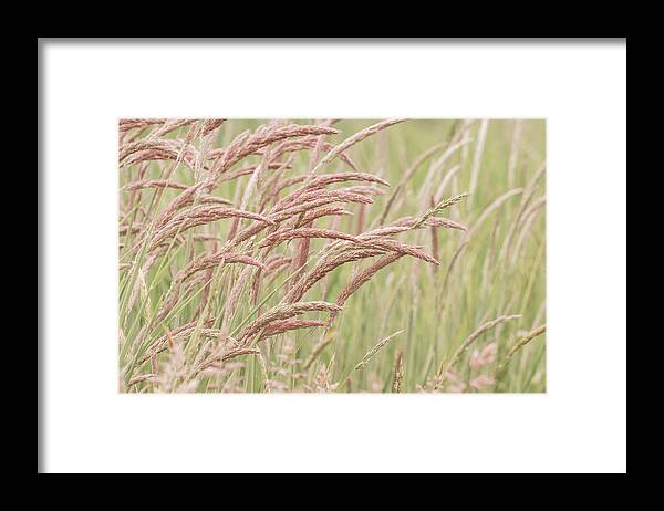 Tall Framed Print featuring the photograph Wind Song by Brent Davis
