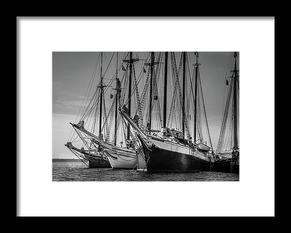 Windjammers Framed Print featuring the photograph Windjammer Fleet by Fred LeBlanc