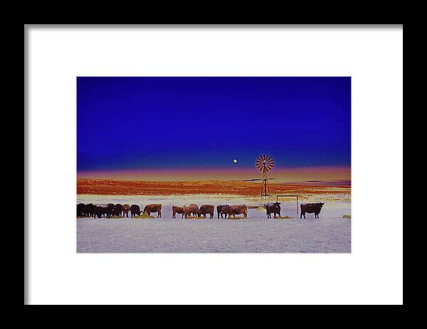 Retro Framed Print featuring the photograph Windmill and Cows Night Feed by Amanda Smith