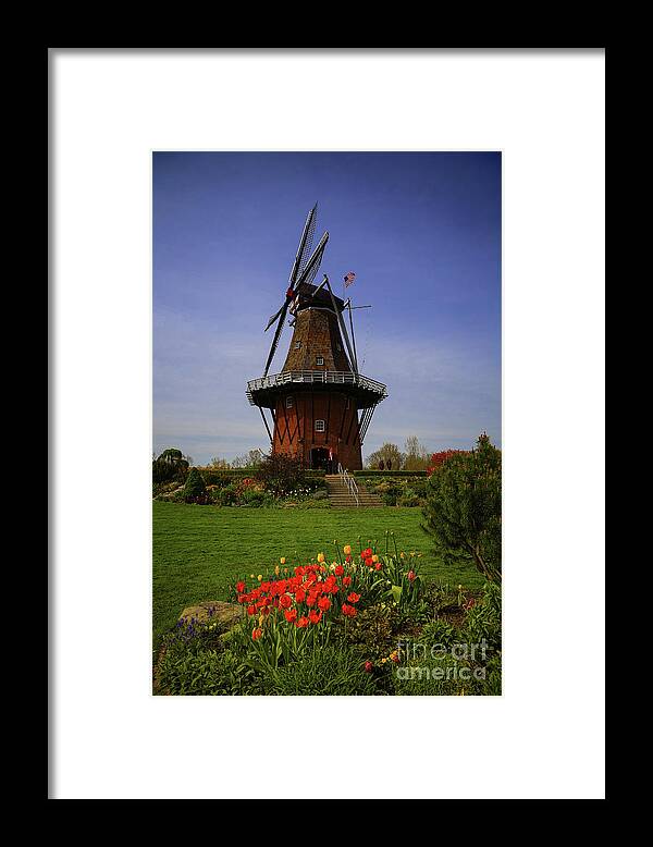 Windmill At Tulip Time Framed Print featuring the photograph Windmill at Tulip Time by Rachel Cohen