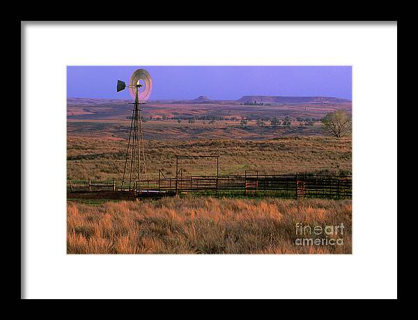 Dave Welling Framed Print featuring the photograph Windmill Cattle Fencing Texas Panhandle by Dave Welling