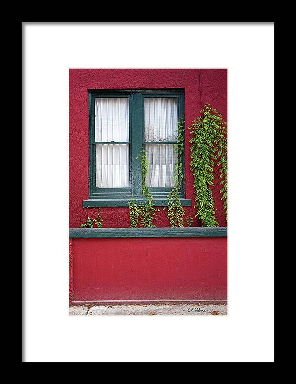 Window Framed Print featuring the photograph Window and VInes by Christopher Holmes