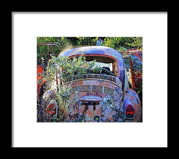 Beetle Framed Print featuring the photograph Window Dressing by Christopher McKenzie