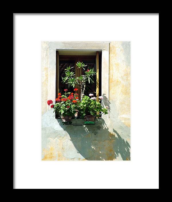 Windows And Doors Framed Print featuring the photograph Window with a Tree by Donna Corless